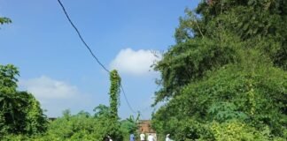 30 सफाई-कर्मियों ने एक साथ संभाली गांव की सफाई:कप्तानगंज के भटहा में धार्मिक स्थल, पंचायत भवन और स्कूल परिसर चमकाए