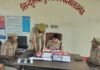सिन्दुरिया और महिला थाने का अर्धवार्षिक निरीक्षण:सीओ ने रिकॉर्ड अपडेट रखने के दिए निर्देश, महिला शिकायतों की त्वरित सुनवाई पर जोर