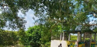 12 प्राथमिक विद्यालय और 4 अतिरिक्त कक्षों का शिलान्यास:विधायक बोले- बच्चों के बेहतर भविष्य के लिए जरूरी हैं स्कूलों में पर्याप्त कमरे