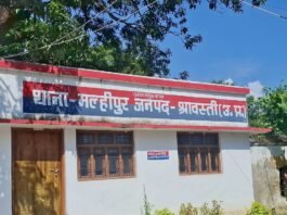 मल्हीपुर के बनगई बाजार से बाइक चोरी:दुकान के सामने से हुई चोरी, पुलिस जांच में जुटी