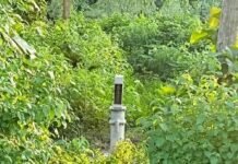 गयादत्त पुरवा में हैंडपंप खराब:120 स्कूली बच्चों समेत 500 लोग पानी को तरसे, प्रधान ने 2 दिन में मरम्मत का आश्वासन दिया