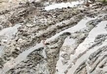 अमरहवा में जलभराव और कीचड़ से बढ़ी मुश्किलें:जल निकासी व्यवस्था न होने से हर साल होती है परेशानी, चर्म रोग का खतरा