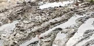अमरहवा में जलभराव और कीचड़ से बढ़ी मुश्किलें:जल निकासी व्यवस्था न होने से हर साल होती है परेशानी, चर्म रोग का खतरा