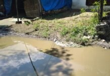 बस्ती में पक्की सड़क पर गड्ढों में भरा पानी:भीटा चौराहा पर मथुरापुर-बाघनगर रोड पर राहगीरों को दिन-रात हो रही दिक्कत