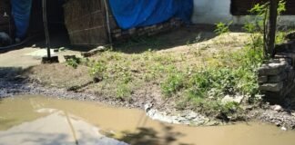 बस्ती में पक्की सड़क पर गड्ढों में भरा पानी:भीटा चौराहा पर मथुरापुर-बाघनगर रोड पर राहगीरों को दिन-रात हो रही दिक्कत