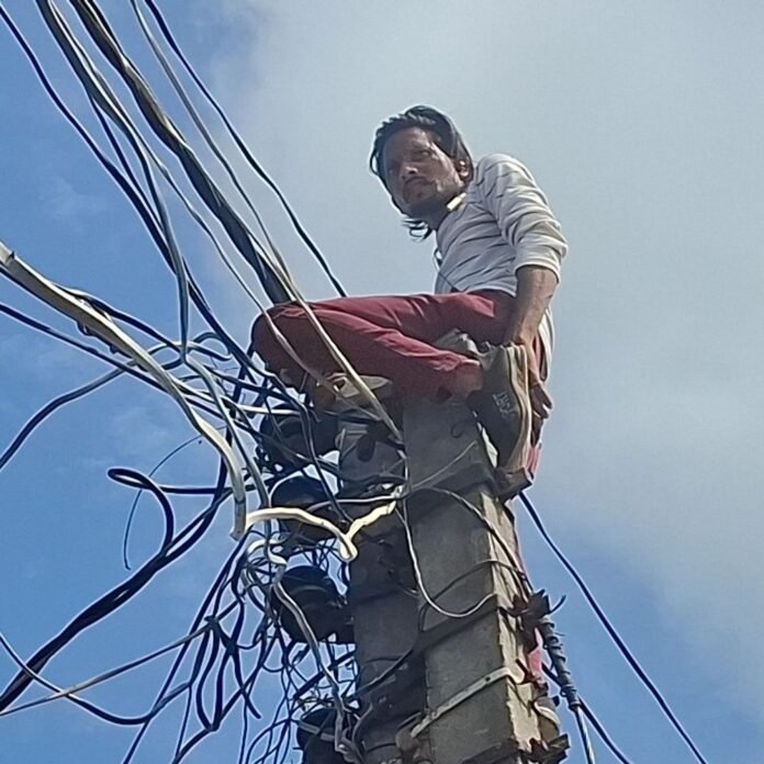 1790066843_ae835907-3cf0-41bc-9ad0-8318b68d3da2_1790055711315.jpg