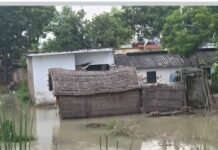 शंकरपुर में बाढ़ के बाद मच्छरों का प्रकोप बढ़ा:नदी का जलस्तर घटने से गंदगी और जल जमाव, दवा छिड़काव नहीं होने से लोग परेशान