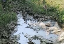 गिलौला में 200 मीटर सड़क गड्ढों में तब्दील:बागवानी पंचायत के गोसाईपुरवा में बारिश में निकलना मुश्किल, ग्रामीण परेशान