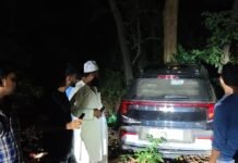 मवेशी के शव को बचाने में कार पेड़ से टकराई:कार में सवार 4-5 लोग सुरक्षित बचे, पूर्व प्रत्याशी ने की मदद