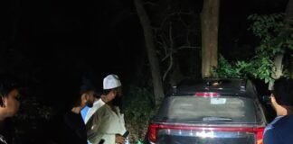 मवेशी के शव को बचाने में कार पेड़ से टकराई:कार में सवार 4-5 लोग सुरक्षित बचे, पूर्व प्रत्याशी ने की मदद