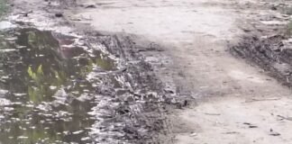 इकौना के किडिहौना चौराहा पर सड़क किनारे पानी जमा:पानी निकलने की व्यवस्था न होने से राहगीरों को परेशानी, ग्रामीणों ने नाली बनाने की मांग की