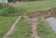शिकारगढ़ के काली मंदिर तक पक्का रास्ता नहीं:श्रद्धालु परेशान, कई बार शिकायत के बाद भी सुनवाई नहीं