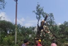 श्रावस्ती में आंधी-बारिश से 433 बिजली पोल टूटे:चार दिन से बिजली संकट, आपूर्ति ठप अंधेरे में डूबे कई क्षेत्र, विभाग बोला- बहाली में समय लगेगा