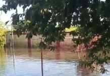 लक्ष्मीपुर पुलिस चौकी में घुसा बाढ़ का पानी:पूरा परिसर जलमग्न, पुलिसकर्मियों की बढ़ी मुश्किलें