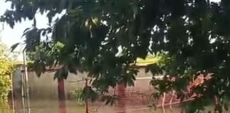 लक्ष्मीपुर पुलिस चौकी में घुसा बाढ़ का पानी:पूरा परिसर जलमग्न, पुलिसकर्मियों की बढ़ी मुश्किलें