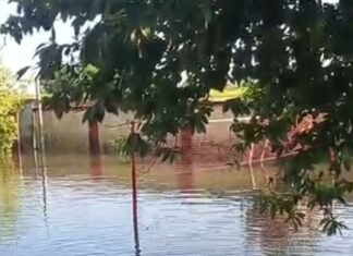 लक्ष्मीपुर पुलिस चौकी में घुसा बाढ़ का पानी:पूरा परिसर जलमग्न, पुलिसकर्मियों की बढ़ी मुश्किलें
