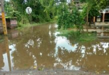 15 साल से सड़क की मरम्मत नहीं:3 दिन की बारिश ने बढ़ाई मुसीबत; स्कूल के रास्ते में घुटनों तक पानी, गंदे पानी से गुजर रहे बच्चे