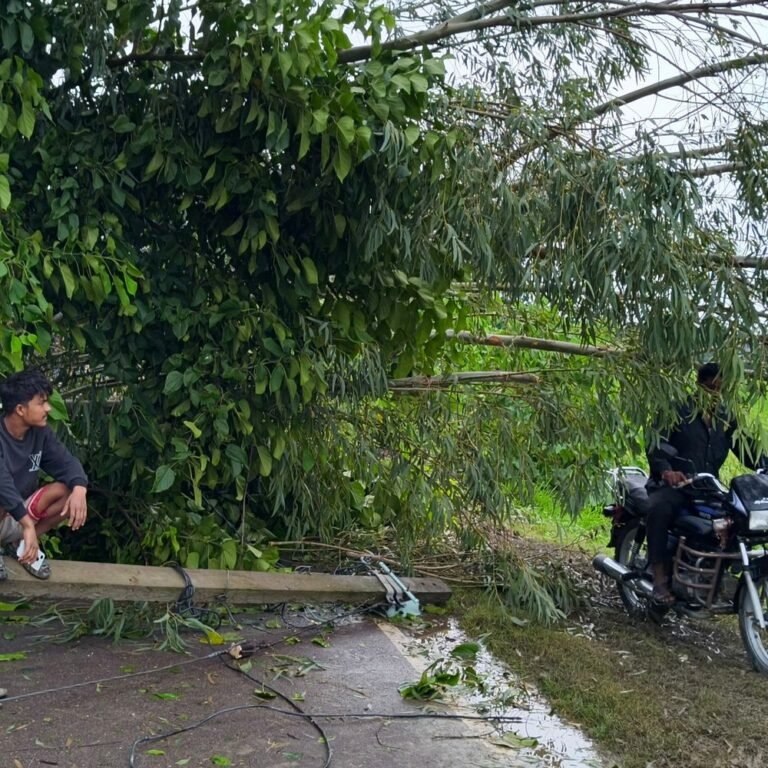 रामगढ़ी स्कूल के पास पेड़ गिरने से सड़क बंद:आंधी-तूफान से बिजली का पोल भी गिरा, इलाके की बिजली ठप