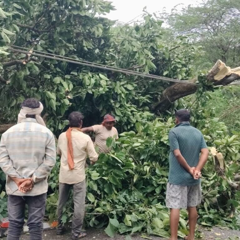 श्रावस्ती में 4 दिन से बिजली गुल:सिरसिया-लक्ष्मणपुर क्षेत्र में 33 केवी लाइनें क्षतिग्रस्त, कई गांवों में अंधेरा छाया