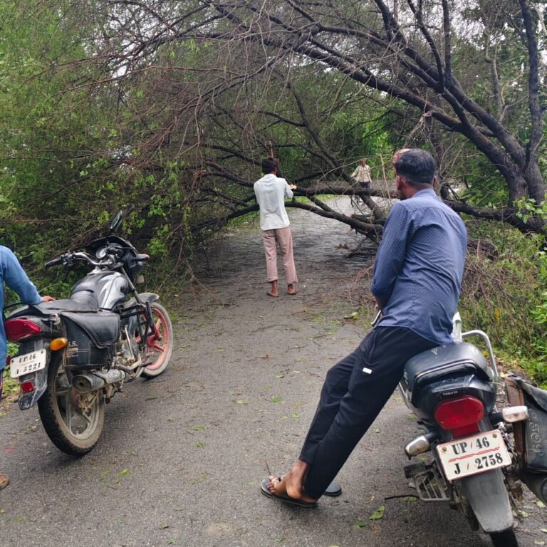 सिरसिया में यकघरवा-बेनीडिहवा मार्ग पर पेड़ गिरा:राप्ती नदी के पास तेज हवा से सड़क बंद, ग्रामीणों ने खुद रास्ता खोला