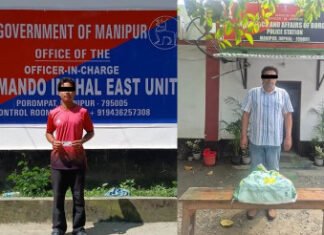 मणिपुर में केवाईकेएल का कैडर एवं गांजा के साथ एक तस्कर गिरफ्तार