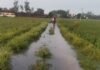 रास्ता क्षतिग्रस्त होने से आवागमन बंद:मदद के लिए ग्रामीणों ने डीएम अन्नपूर्णा गर्ग से लगाई गुहार