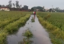रास्ता क्षतिग्रस्त होने से आवागमन बंद:मदद के लिए ग्रामीणों ने डीएम अन्नपूर्णा गर्ग से लगाई गुहार