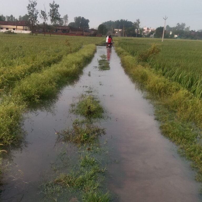 रास्ता क्षतिग्रस्त होने से आवागमन बंद:मदद के लिए ग्रामीणों ने डीएम अन्नपूर्णा गर्ग से लगाई गुहार