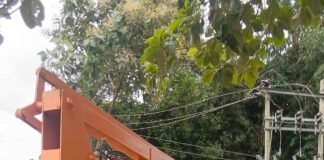 बनकटी में 5 दिन से बिजली सप्लाई ठप:सरकारी दफ्तरों का काम रुका, ग्रामीण मोबाइल चार्जिंग के लिए भटक रहे