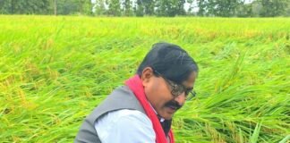 श्रावस्ती – बारिश से 30 बीघा धान की फसल डूबी:हरिहरपुर रानी में पूर्व विधायक असलम राईनी ने मुआवजे की मांग की