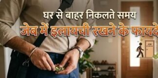 घर से बाहर निकलने से पहले जेब में इलायची रखने के फायदे जानते हैं आप? इंटरव्यू देने वाले तो जरूर रखें News Desk