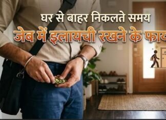 घर से बाहर निकलने से पहले जेब में इलायची रखने के फायदे जानते हैं आप? इंटरव्यू देने वाले तो जरूर रखें News Desk
