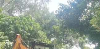 कुनगाई बुजुर्ग में बारिश से सड़क पर गिरा पेड़:कुनगाई बुजुर्ग में प्रधान प्रतिनिधि मनोज कुमार ने ग्रामीणों की मदद से जेसीबी से रास्ता खुलवाया