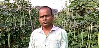 फसल परिवर्तन से बढ़ा उत्पादन और मुनाफा News Desk