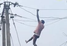चारों तरफ पानी, फिर भी नहीं डिगा हौसला; बिजली मिस्त्री ने ठीक किया 11 KV लाइन का फॉल्ट News Desk