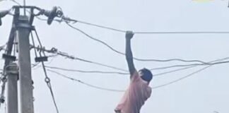 चारों तरफ पानी, फिर भी नहीं डिगा हौसला; बिजली मिस्त्री ने ठीक किया 11 KV लाइन का फॉल्ट News Desk
