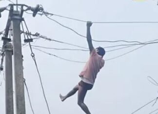 चारों तरफ पानी, फिर भी नहीं डिगा हौसला; बिजली मिस्त्री ने ठीक किया 11 KV लाइन का फॉल्ट News Desk