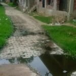 बरदेहरा का संपर्क मार्ग बदहाल, खड़ंजा ध्वस्त:गड्ढों में तब्दील होने से आवागमन मुश्किल, जलभराव से बीमारी का खतरा बरदेहरा का संपर्क मार्ग बदहाल, खड़ंजा ध्वस्त:गड्ढों में तब्दील होने से आवागमन मुश्किल, जलभराव से बीमारी का खतरा