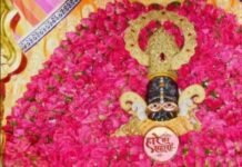 बाबा श्याम के दरबार में उमड़ी भीड़, लाल फूलों से सजा दरबार, VIP दर्शन पूरी तरह बंद News Desk