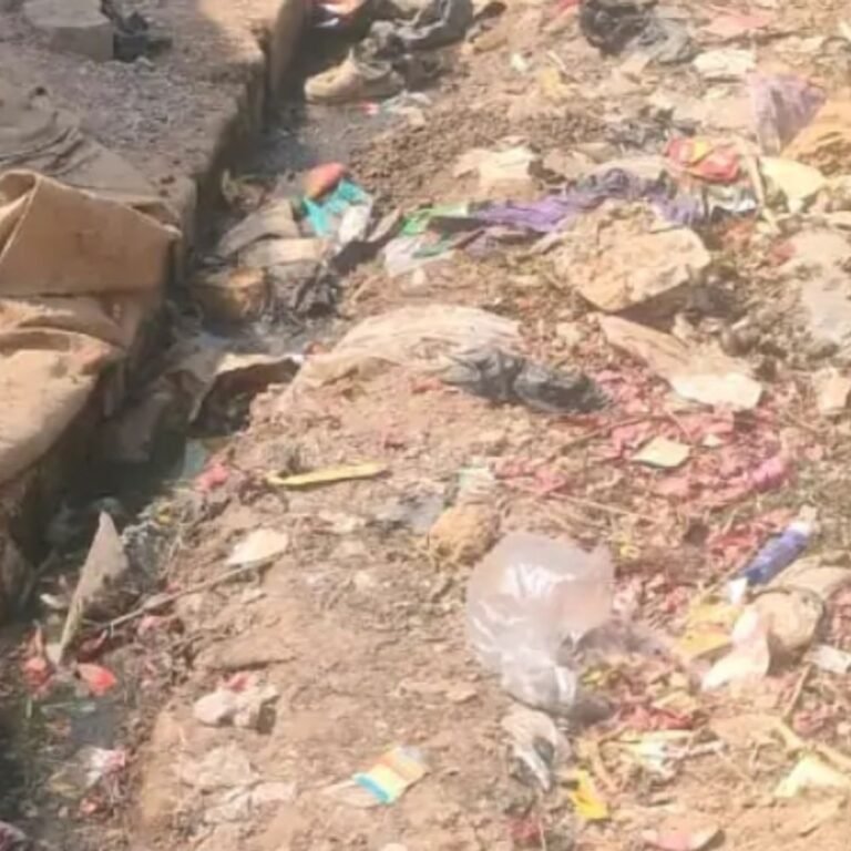 जमुनहा में नालियों की सफाई न होने से लोग परेशान:गंदगी और जलभराव से ईद पर बीमारियों का खतरा बढ़ा, प्रशासन से लगाई गुहार