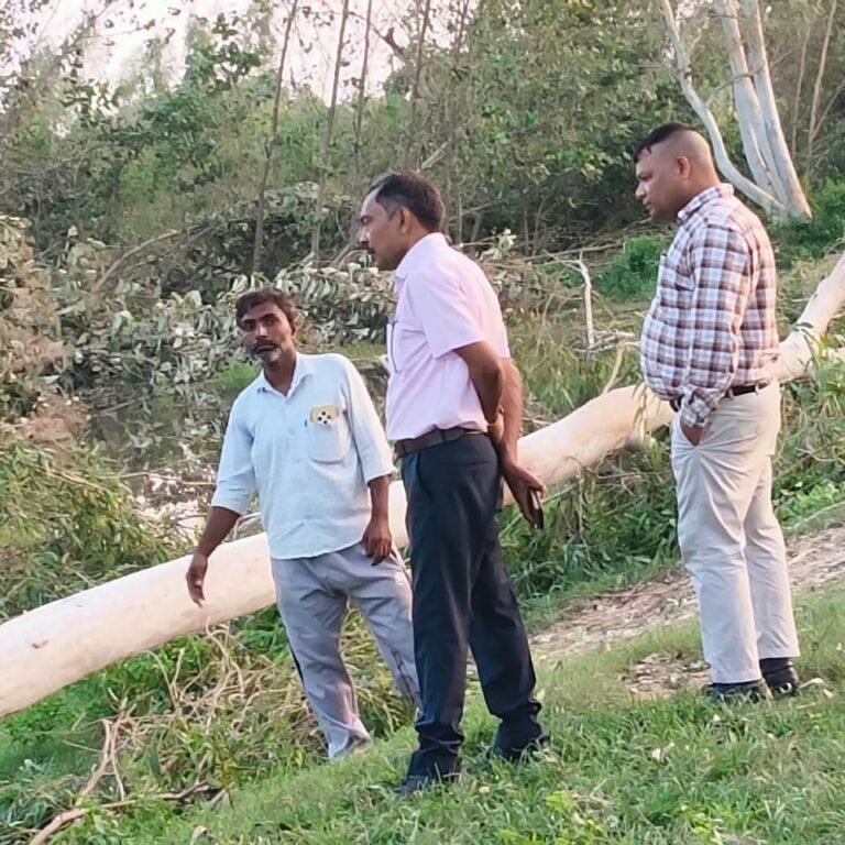गिलौला में 6 दिन से बिजली ठप:पयागपुर-गिलौला 33 केवी लाइन ठीक नहीं हुई, बच्चों की पढ़ाई और घरों के काम पर असर