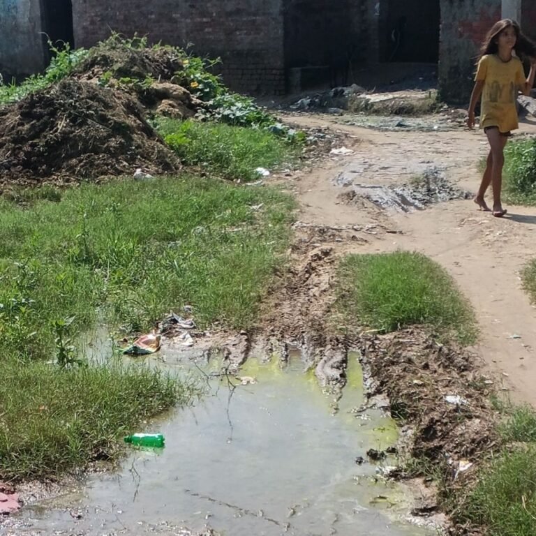 मोहनलालपुरवा-सालारपुर मार्ग पर जलभराव और घूर का अंबार:श्रावस्ती में ग्रामीणों का राह चलना हुआ दुश्वार, जिम्मेदारों से सफाई की मांग
