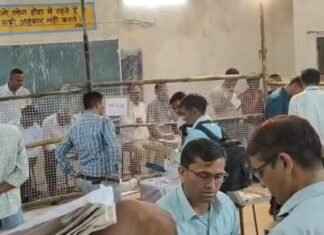 उदयपुर, पाली, अलवर और अजमेर में भाजपा का मेयर, बीकानेर में कांग्रेस का कब्जा