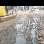नासिरगंज बाजार में कचरा और जलभराव से लोग परेशान:चंदन कुटिया से महादेव मौजा तक सड़क पर गंदगी, व्यापारियों का धंधा चौपट