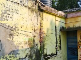 तूफान में आंगनबाड़ी केंद्र की छत पर गिरा पेड़:जमुनहा में 80 बच्चों की पढ़ाई प्रभावित, भवन क्षतिग्रस्त होने से दिक्कत