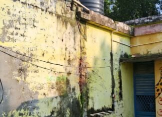 तूफान में आंगनबाड़ी केंद्र की छत पर गिरा पेड़:जमुनहा में 80 बच्चों की पढ़ाई प्रभावित, भवन क्षतिग्रस्त होने से दिक्कत