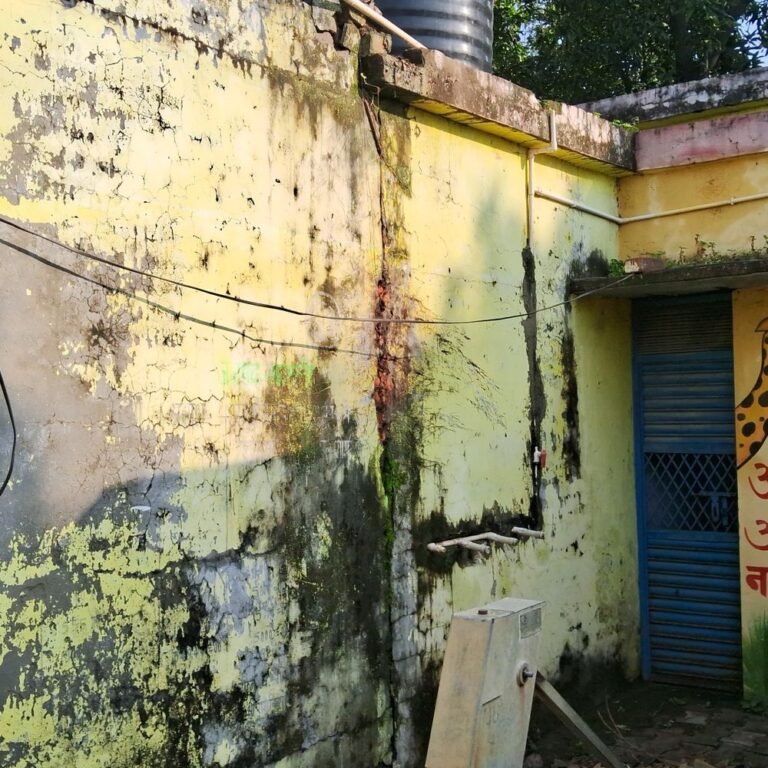 तूफान में आंगनबाड़ी केंद्र की छत पर गिरा पेड़:जमुनहा में 80 बच्चों की पढ़ाई प्रभावित, भवन क्षतिग्रस्त होने से दिक्कत
