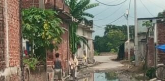 महराजगंज में टूटी सड़क पर भरा पानी:तुलसीपुर टोले में गड्ढों से होकर गुजरने को मजबूर ग्रामीण और राहगीर
