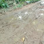 मझिला बनकटी-लाल बनकटी मार्ग पर जलभराव से ग्रामीण परेशान:कई सालों से कीचड़ और पानी के बीच से गुजरने को मजबूर, स्कूल जाने वाले बच्चे भी होते हैं चोटिल मझिला बनकटी-लाल बनकटी मार्ग पर जलभराव से ग्रामीण परेशान:कई सालों से कीचड़ और पानी के बीच से गुजरने को मजबूर, स्कूल जाने वाले बच्चे भी होते हैं चोटिल