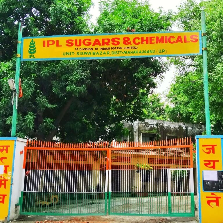 किसान 10 अक्टूबर तक समिति के सदस्य बनें:बारिश-तूफान के बीच किसानों को राहत, सिसवा चीनी मिल ने कहा; 10 अक्टूबर तक पूरी करें समिति सदस्यता